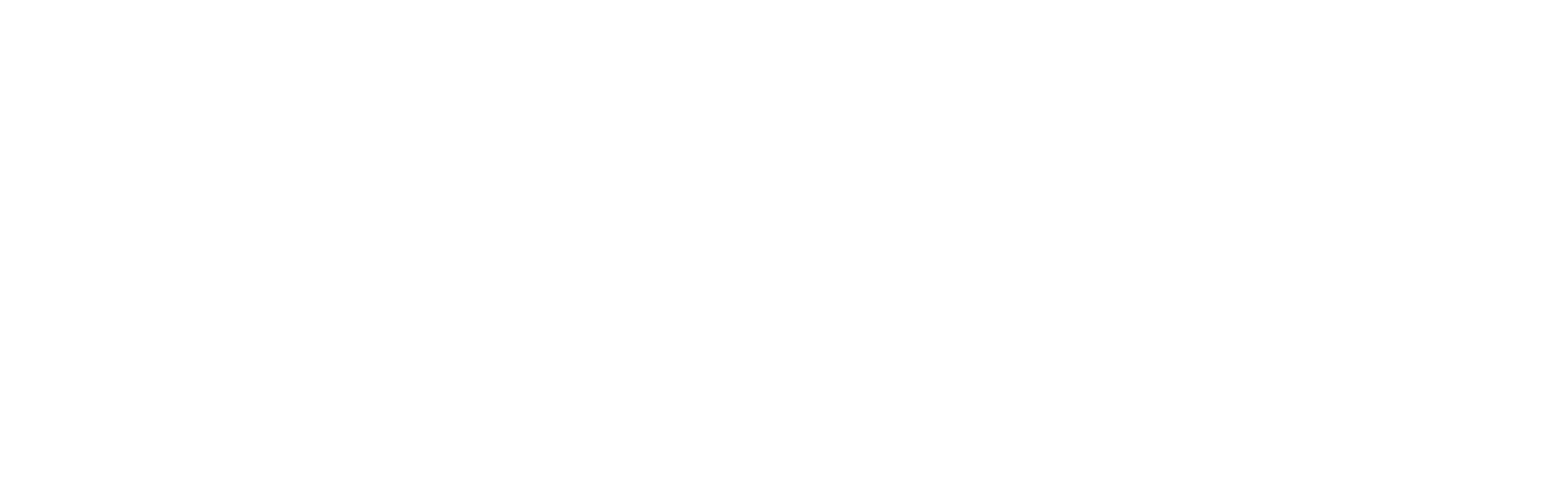 Nth Degree Events logo - horizontal - white-1